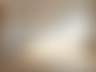 Comprehensive Guide to Apartment Transition Cleaning