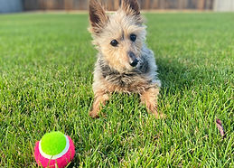 IMG_7776_edited.jpg