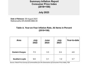 Special Release: Summary Inflation Report Consumer Price Index (CPI) July 2023