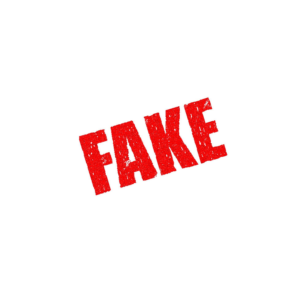 How to spot a fake website!
