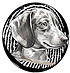 Logo of Delilah the Dachshund, the mascot of The Scam Hound