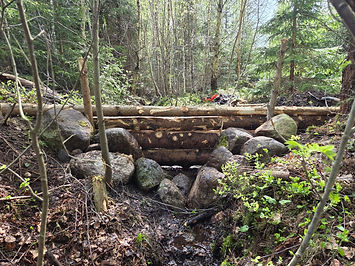 Bilde 10.jpg