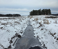 20260129_112340.jpg