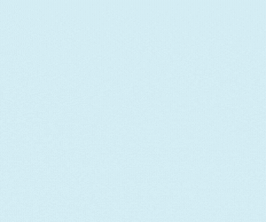 VIEFAUCET.gif