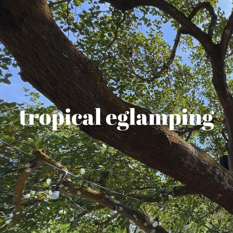 SỐNG CHẬM Ở TROPICAL EGLAMPING: BẠN ĐÃ THỬ CHƯA? 🍃  