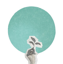 Image of a flower representing Youth mental health support and resources