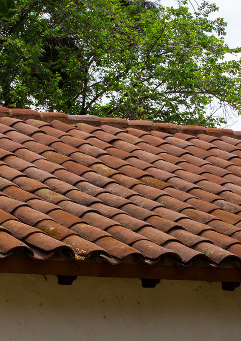 Cubierta tradicional de tejas curvas que evocan un estilo patrimonial y natural.