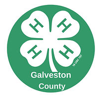 galveston county 4h logo.jpg