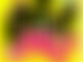 EPIC STREET FEST XMAS EDITION 2025