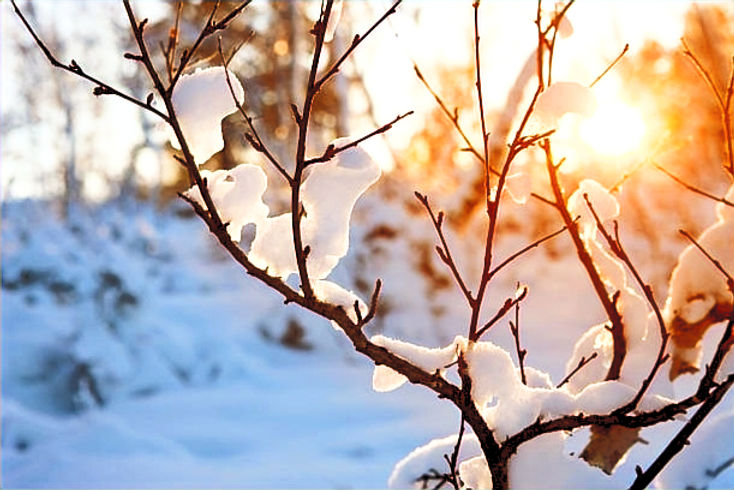 Webseite winterbild_edited.jpg