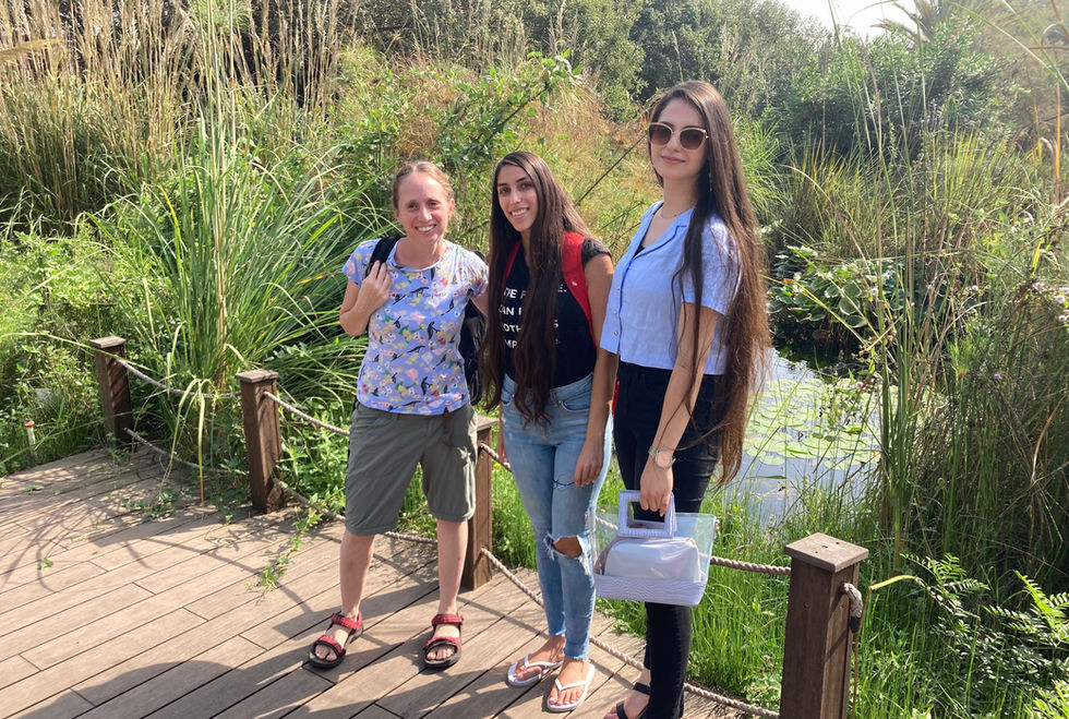 image_50736897.jpeg
