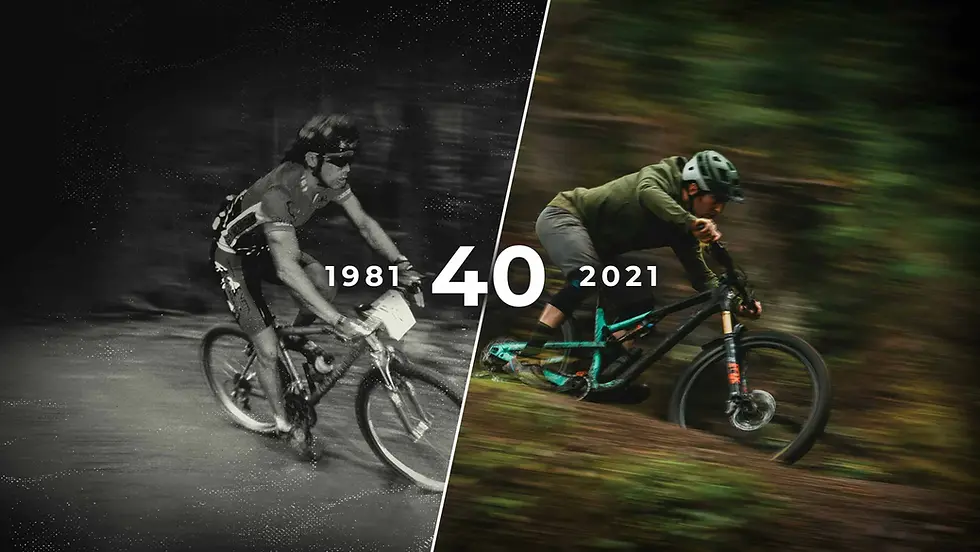 40-years-banner_1.webp