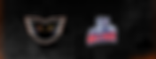 Lehigh Valley Phantoms vs. Hartford Wolf Pack