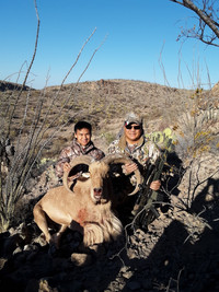 Resized_20201120_085356.jpeg