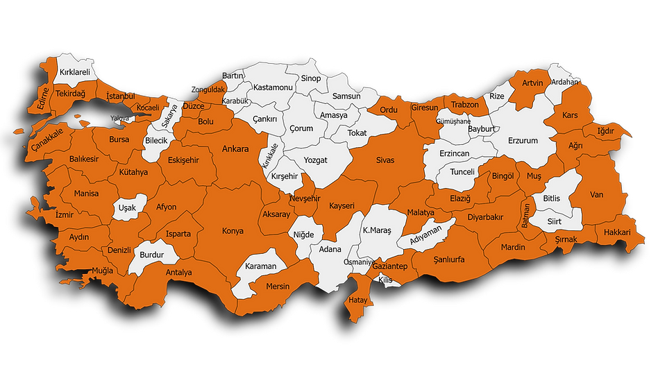 Türkiye Map Chart (4)---ORANGE.png