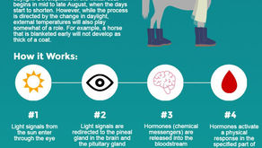 Winter Coat Growth Mechanism