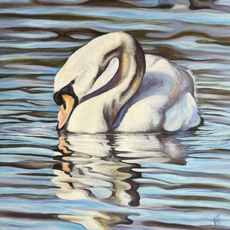A painting of a Swan by Vicky Tucker Artist
