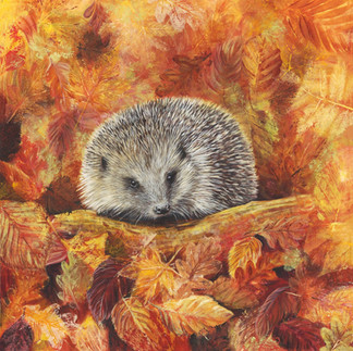 A painting of a hedgehog nestled in autumn leaves