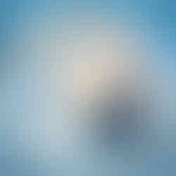 A painting of remembrance at Christmas time for a pet crematorium.