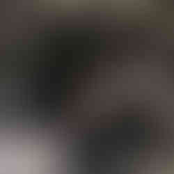 a close-up of a herd of running horses with a black horse holding his head up