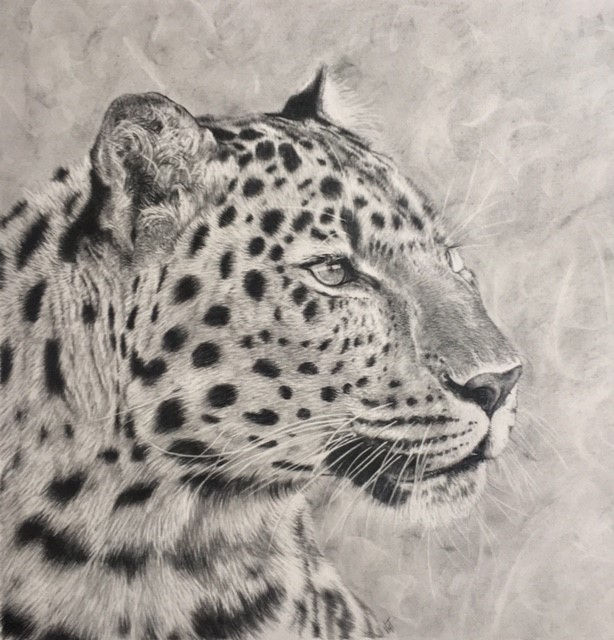 Ghost of the Forest limited edition fine art print of an Amur Leopard