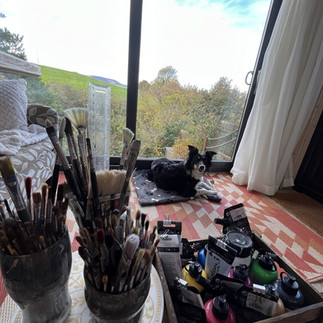a border collie in Vicky Tucker Artists studio