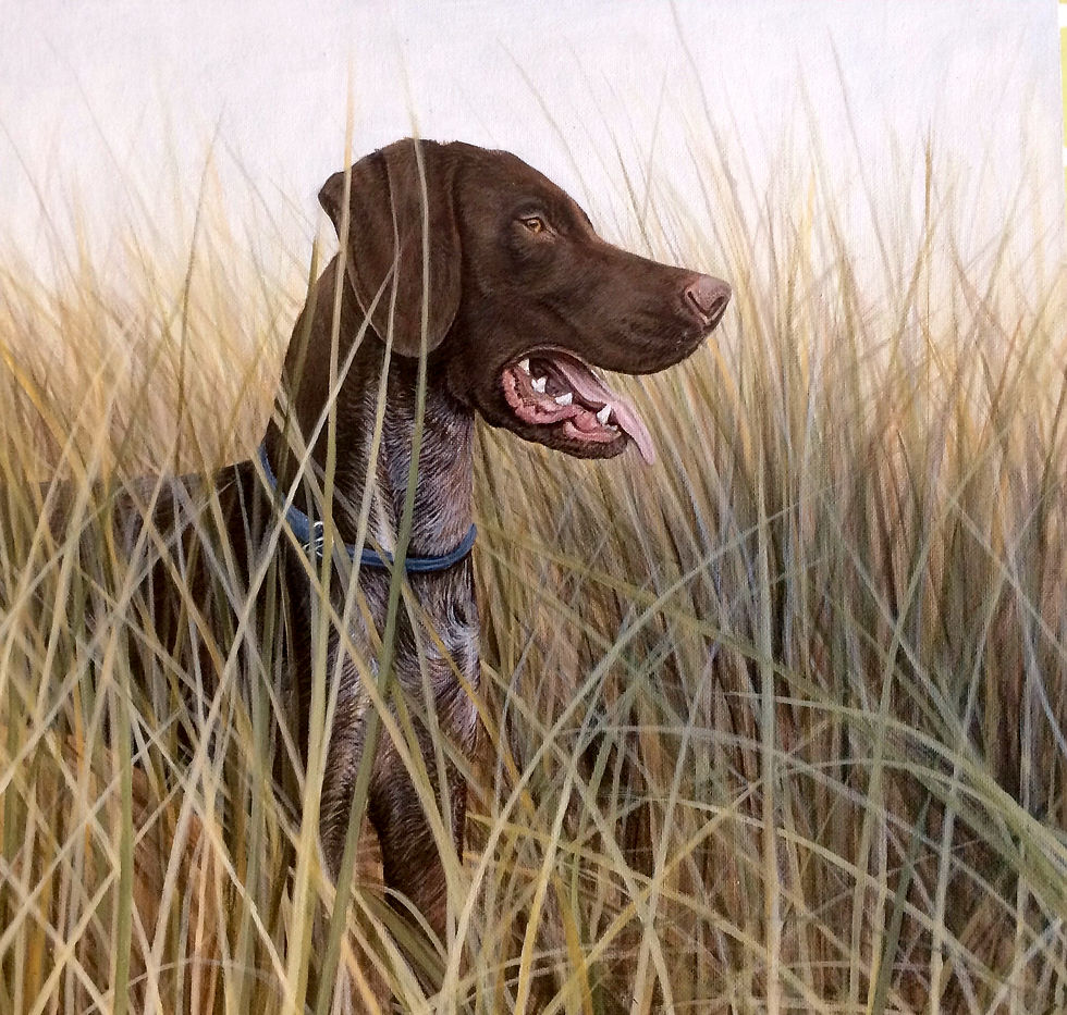Thumbnail: Original painting of a German Pointer standing in soft reeds by Vicky Tucker Artist.
