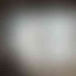 Muslin curtains to diffuse bright light.