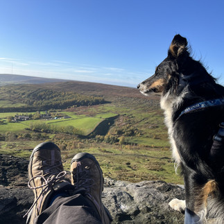 a photo of a walker and a border collie