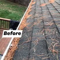 BEFORE gutters.jpg