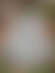 drainage and landscaping ocean view de