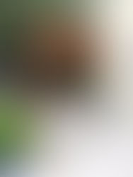 Pergola & outdoor kitchen Long Neck, DE