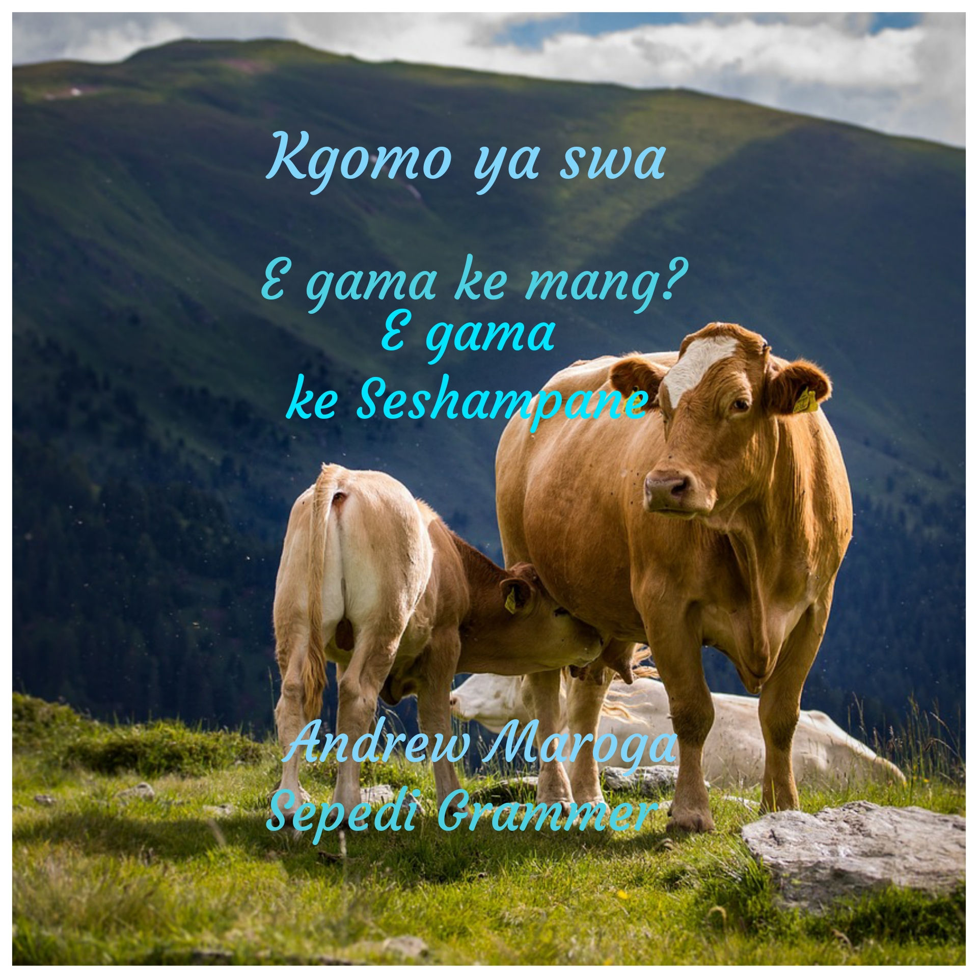 Kgomo ya swa ( An ebook) 