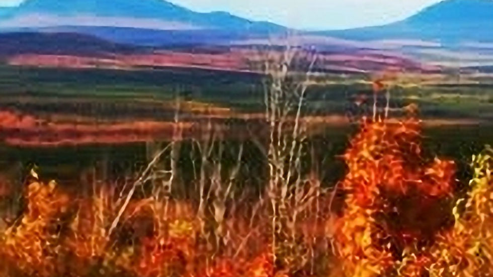 Mountain Views of Fiery Color Greenville, Maine in the Fall on a Foliage Tour