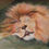 Thumbnail: The lion sleeping zzzzz - Ref: 131