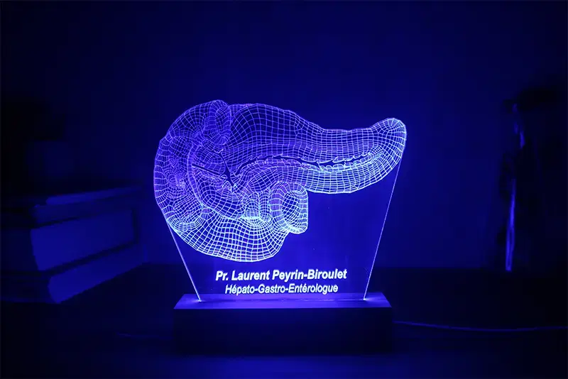 Miniature : Lampe LED Pancréas personnalisée - Veilleuse anatomique pour diabétologue et endocrinologue