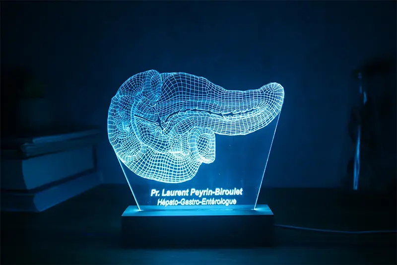 Miniature : Lampe LED Pancréas personnalisée - Veilleuse anatomique pour diabétologue et endocrinologue
