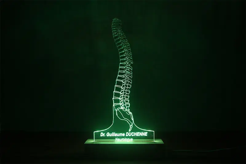 Miniature : Lampe LED Colonne Vertébrale personnalisée - Veilleuse bassin et vertèbres pour kinésithérapeute