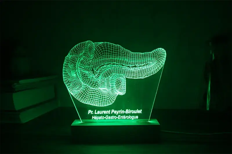 Miniature : Lampe LED Pancréas personnalisée - Veilleuse anatomique pour diabétologue et endocrinologue