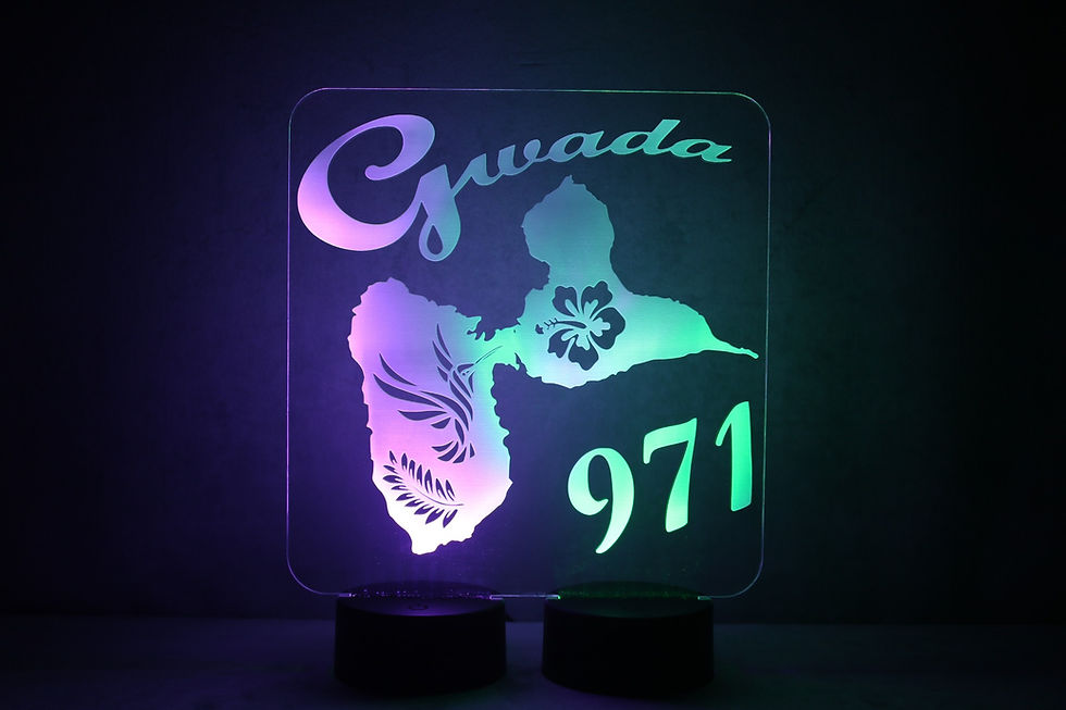 Miniature : Affichage/Enseigne logo led personnalisée