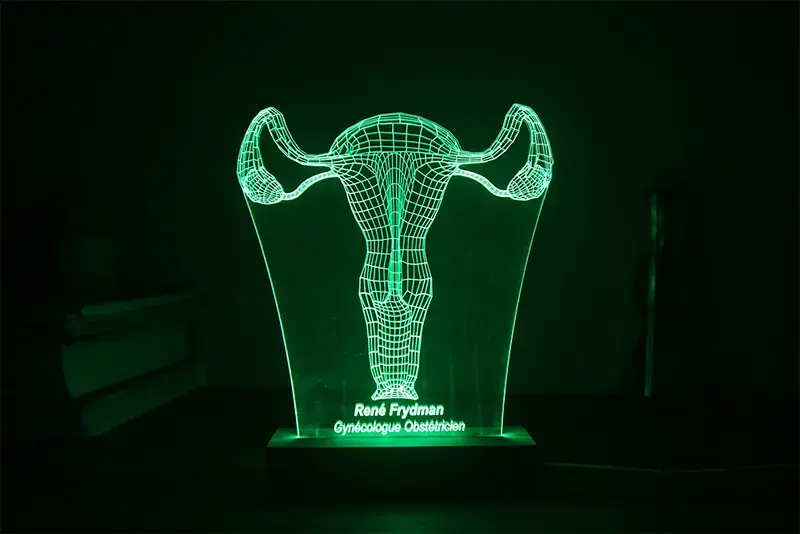 Miniature : Lampe LED Gynécologue personnalisée - Veilleuse utérus et ovaires pour sage-femme et médecin