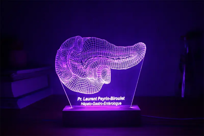 Miniature : Lampe LED Pancréas personnalisée - Veilleuse anatomique pour diabétologue et endocrinologue