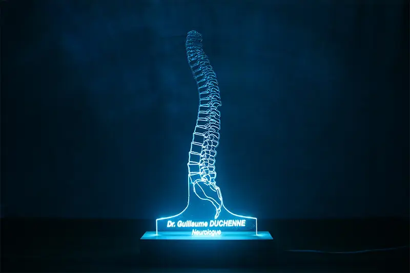 Miniature : Lampe LED Colonne Vertébrale personnalisée - Veilleuse bassin et vertèbres pour kinésithérapeute