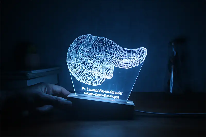 Lampe LED pancréas personnalisée | Cadeau unique médecin | Lampe Hépato-Gastro-Entérologue Personnalisée