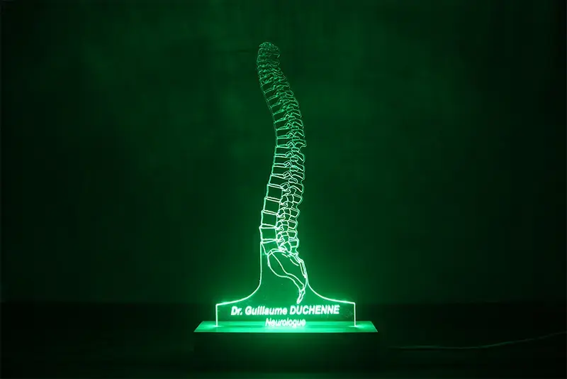Miniature : Lampe LED Colonne Vertébrale personnalisée - Veilleuse bassin et vertèbres pour kinésithérapeute