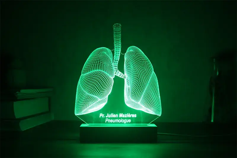 Lampe LED poumon personnalisée | Cadeau médecin unique | lampe pneumologue
