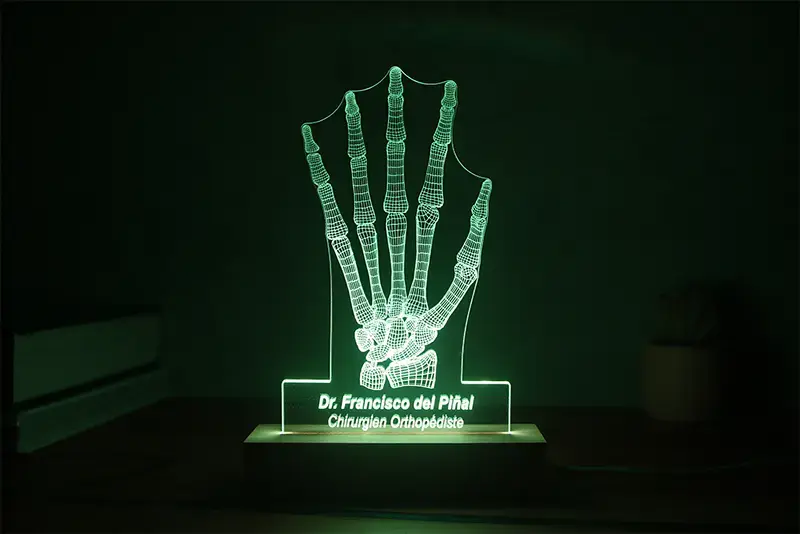 Lampe LED Anatomique Main Personnalisée | Cadeau Original Médecin