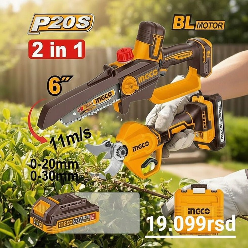 Ingco Aku baštenski set 2/1 COSLI250795E