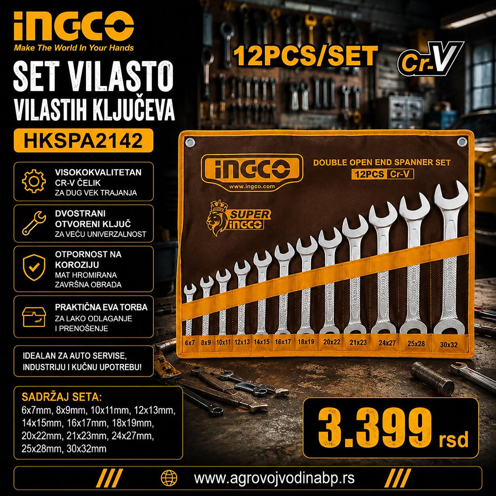 Ingco Set vilasto vilastih ključeva Eva HKSPA2142