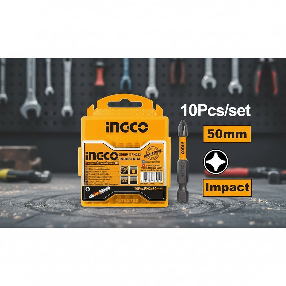 Ingco Set bitova udarni odvijački PH2 50mm 10/1 SDBIM11PH223